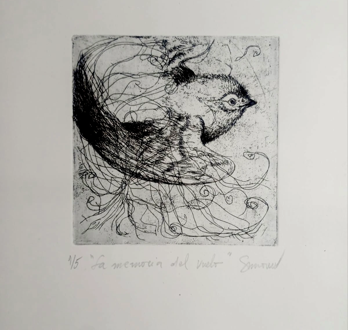 "La Memoria del Vuelo" - Sandra Moreno